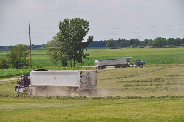 Alfalfa Chopping 002