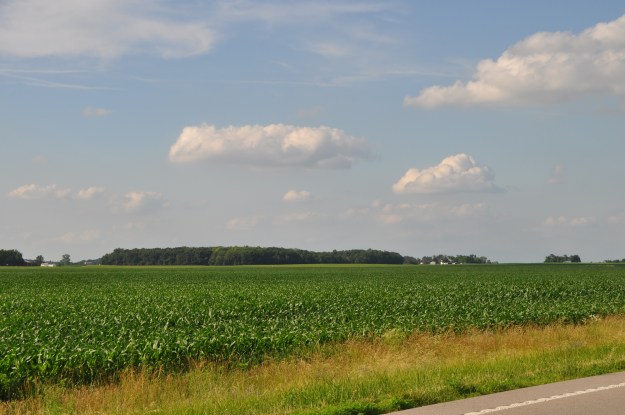 Farm Pictures 06 18 13 011 - Corn