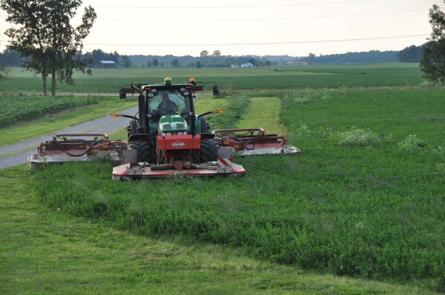 Farm Pictures 06 18 13 034 - Alfalfa