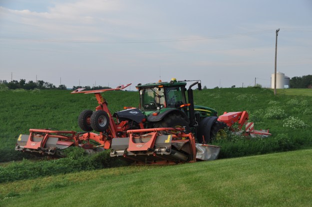 Farm Pictures 06 18 13 041 - Alfalfa