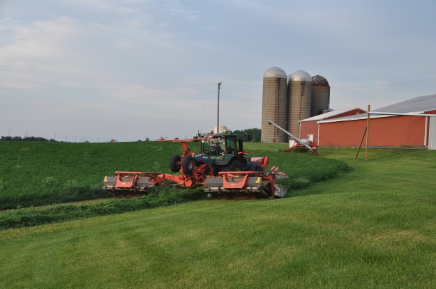 Farm Pictures 06 18 13 043 - Alfalfa