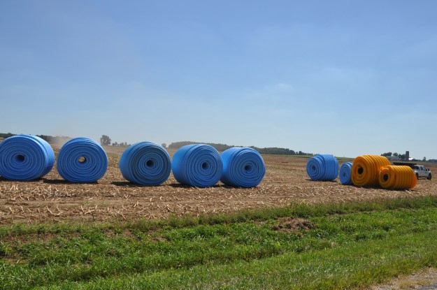 Harvest 2013 - 09 04 13 003