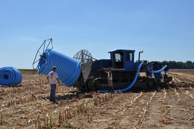 Harvest 2013 - 09 04 13 018