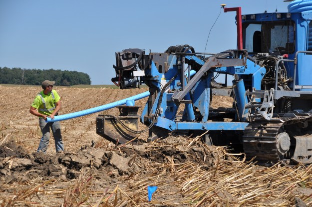 Harvest 2013 - 09 04 13 025