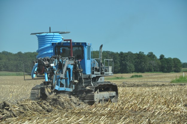 Harvest 2013 - 09 04 13 034