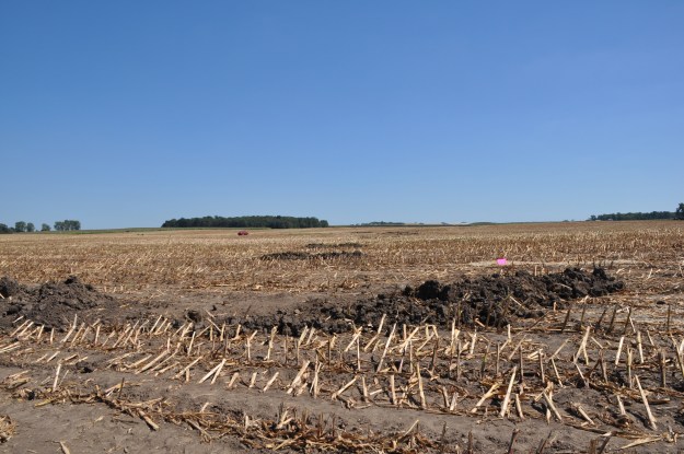 Harvest 2013 - 09 04 13 048
