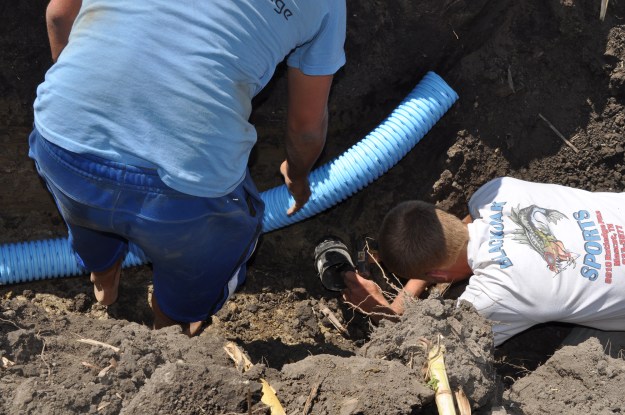 Harvest 2013 - 09 04 13 058