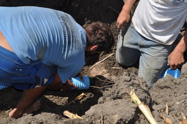 Harvest 2013 - 09 04 13 063