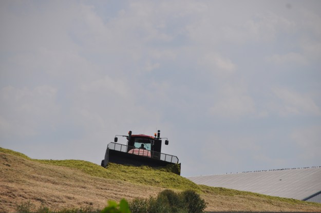Silage Pile and Manure Spreading 09 07 13 004