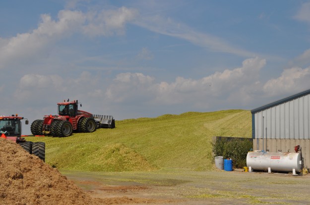 Silage Pile and Manure Spreading 09 07 13 011