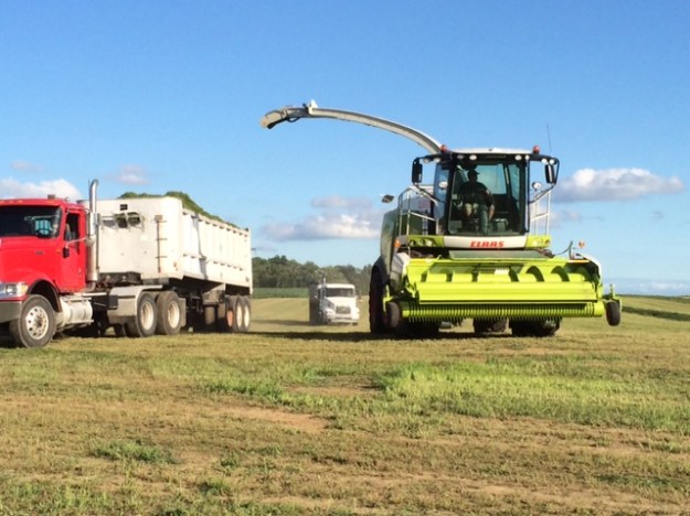 Alfalfa cutting 07 03 14 - 4