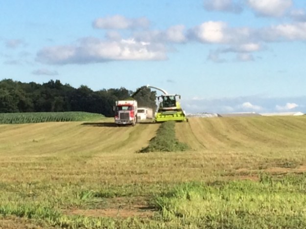 Alfalfa cutting 07 03 14 - 8